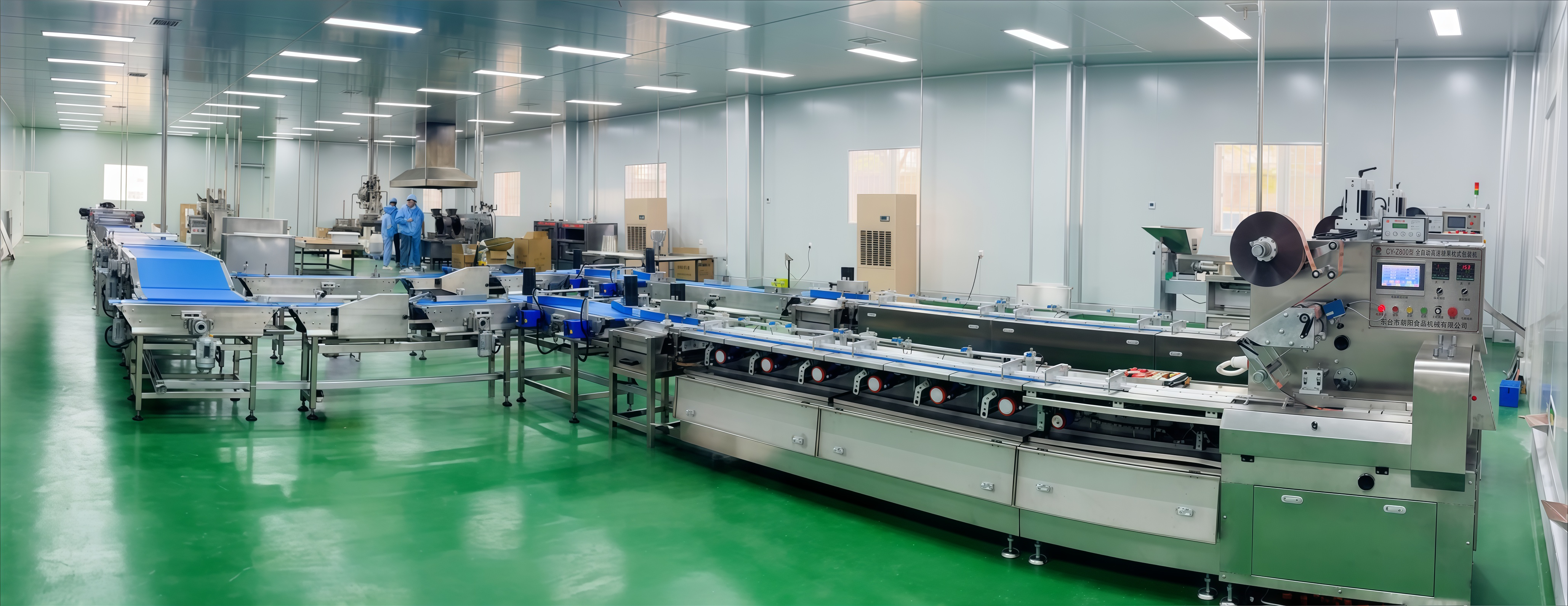 Ligne d'alimentation et d'emballage automatique CYW-98
