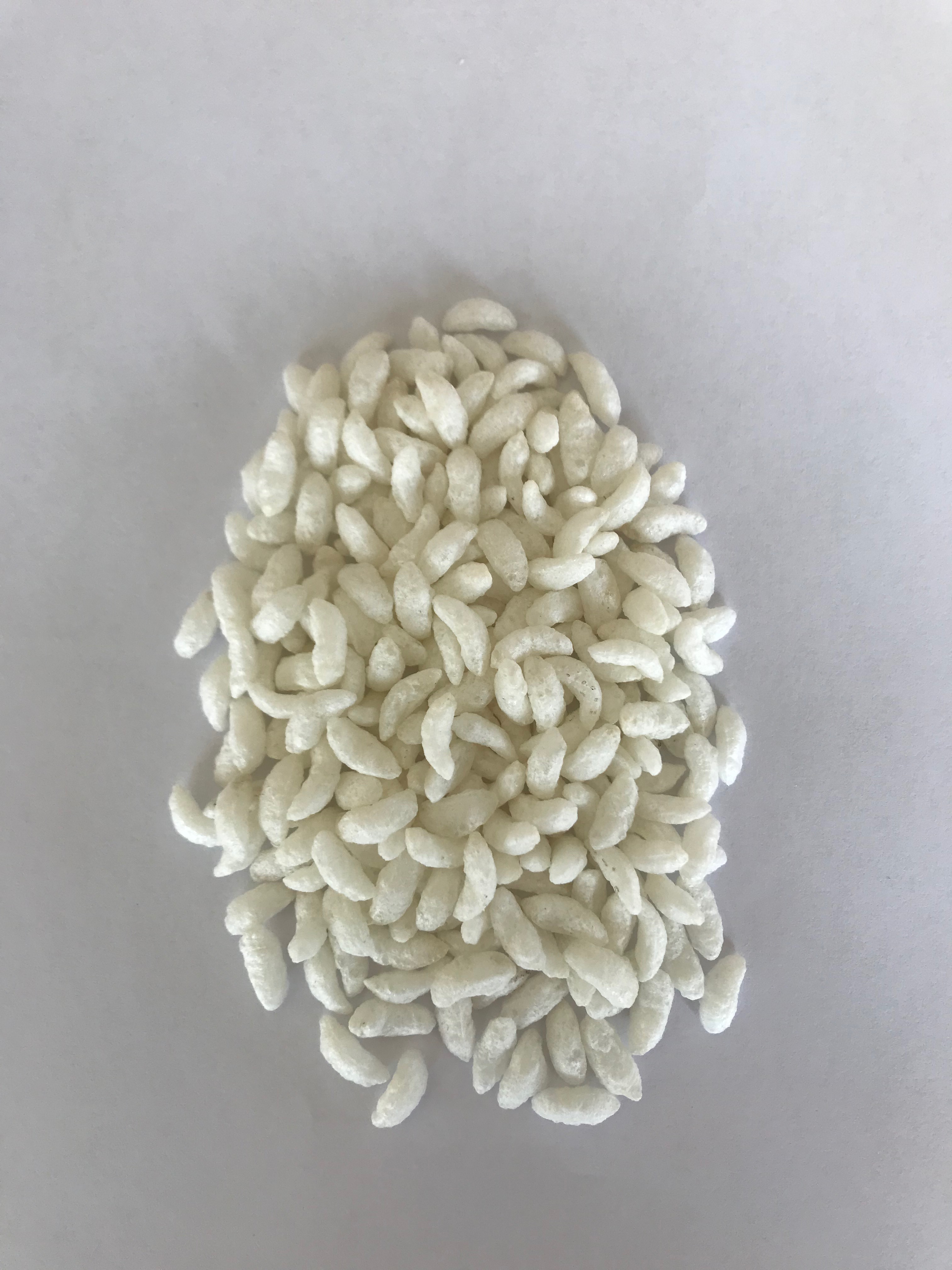 Machine de soufflage par extrusion CY